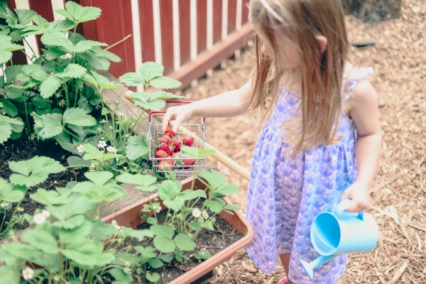 Plant to Plate Initiative