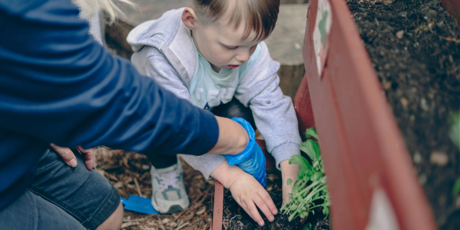 Adult and child planting seedlings in a raised garden bed outdoors.