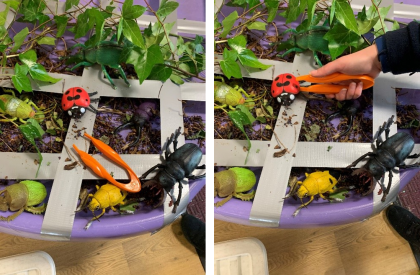 Funky Finger Challenge: Catch the mini beasts